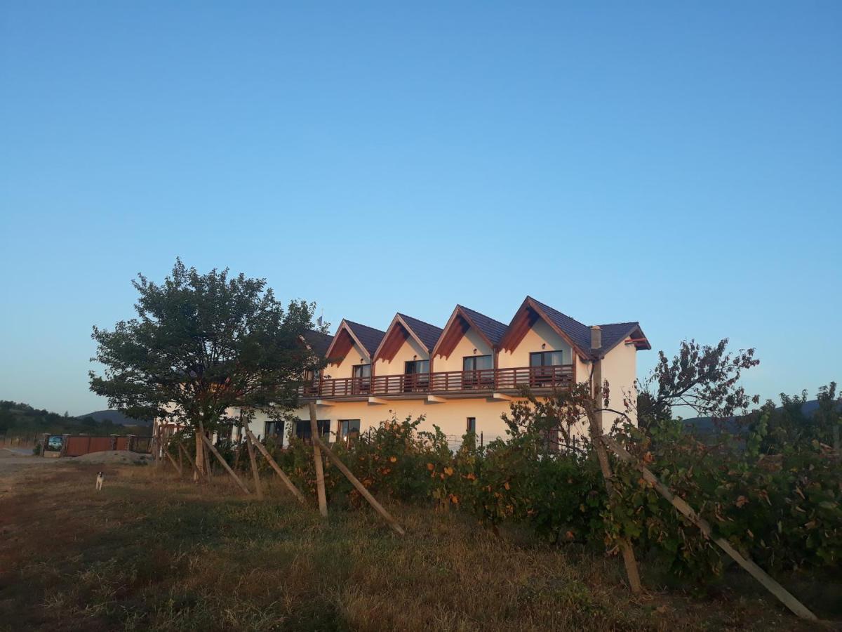 Pensiunea Casa Negrea Ighiu Εξωτερικό φωτογραφία